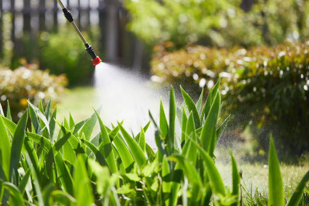 24/7 Emergency Mosquito Control experts in Texarkana, AR