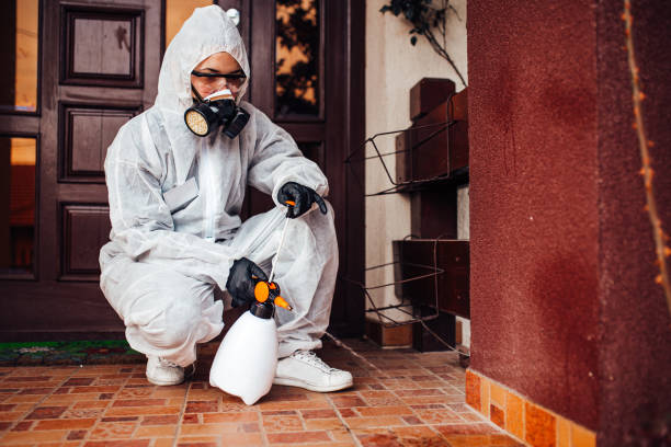 Reliable Mosquito Control contractor in Texarkana, AR by Show Me Pest Control