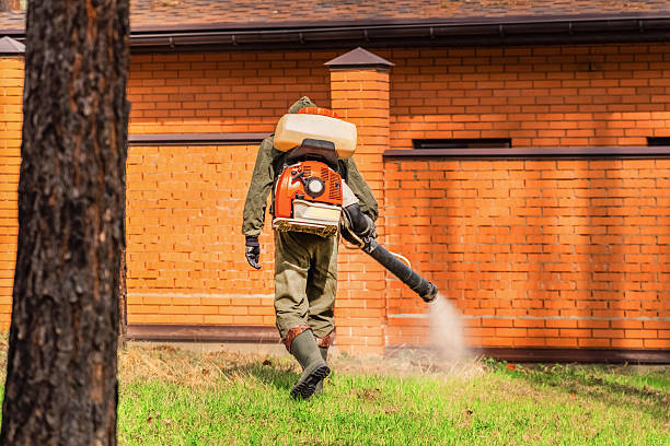 Top rated local Mosquito Control specialists in Texarkana, AR
